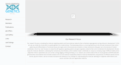 Desktop Screenshot of devgenbasel.com